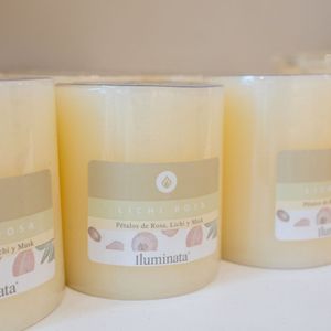 Vela Iluminata Pilar Lichi Rosas 330grs