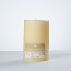 Vela Iluminata Pilar Lichi Rosas 480grs