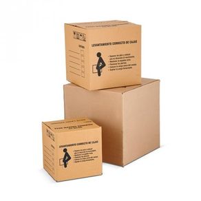 Caja Cartón 31 Cm x 31 Cm x 31 Cm
