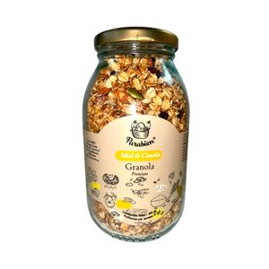 Granola Parabien Miel Canela 350grs