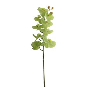 Orquidea Gio Home Mposa 9 Ramas Color Verde 98Cm