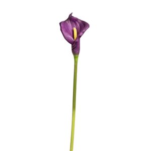Lirio Gio Home Cala Malva 63 cm