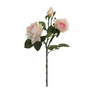 Rosas Gio Home Durazno 74 cm 3 Und