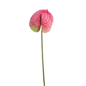 Anturio Gio Home Rosado 65 cm