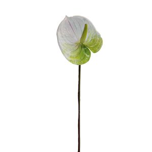 Anturio Gio Home Blanco 65 cm