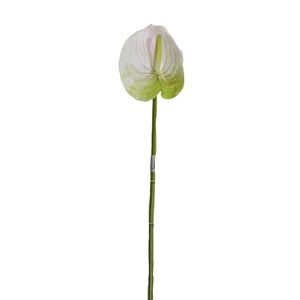 Anturio Gio Home Blanco 63 cm