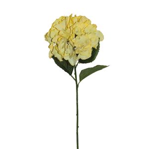 Hortensia Gio Home Grande Amarillo 70 cm