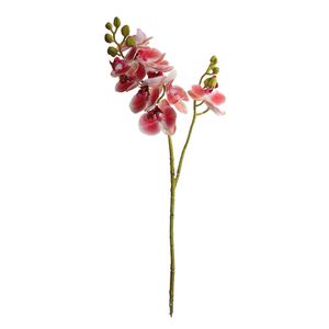 Orquidea Gio Home Mini Rosa 60 cm