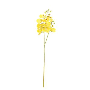 Orquidea Gio Home Mini Amarillo 60 cm