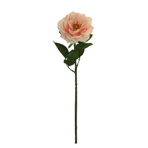 Rosa Gio Home Blanco Melocoton 59 cm