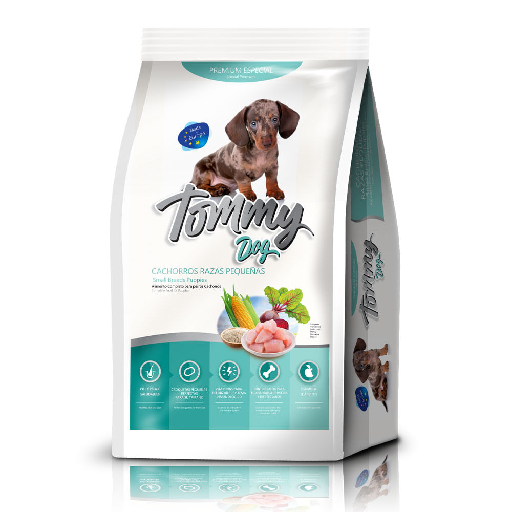 Dogs Cachorro Raza