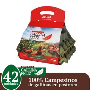 Huevos AA rojos Gallina Feliz x42und