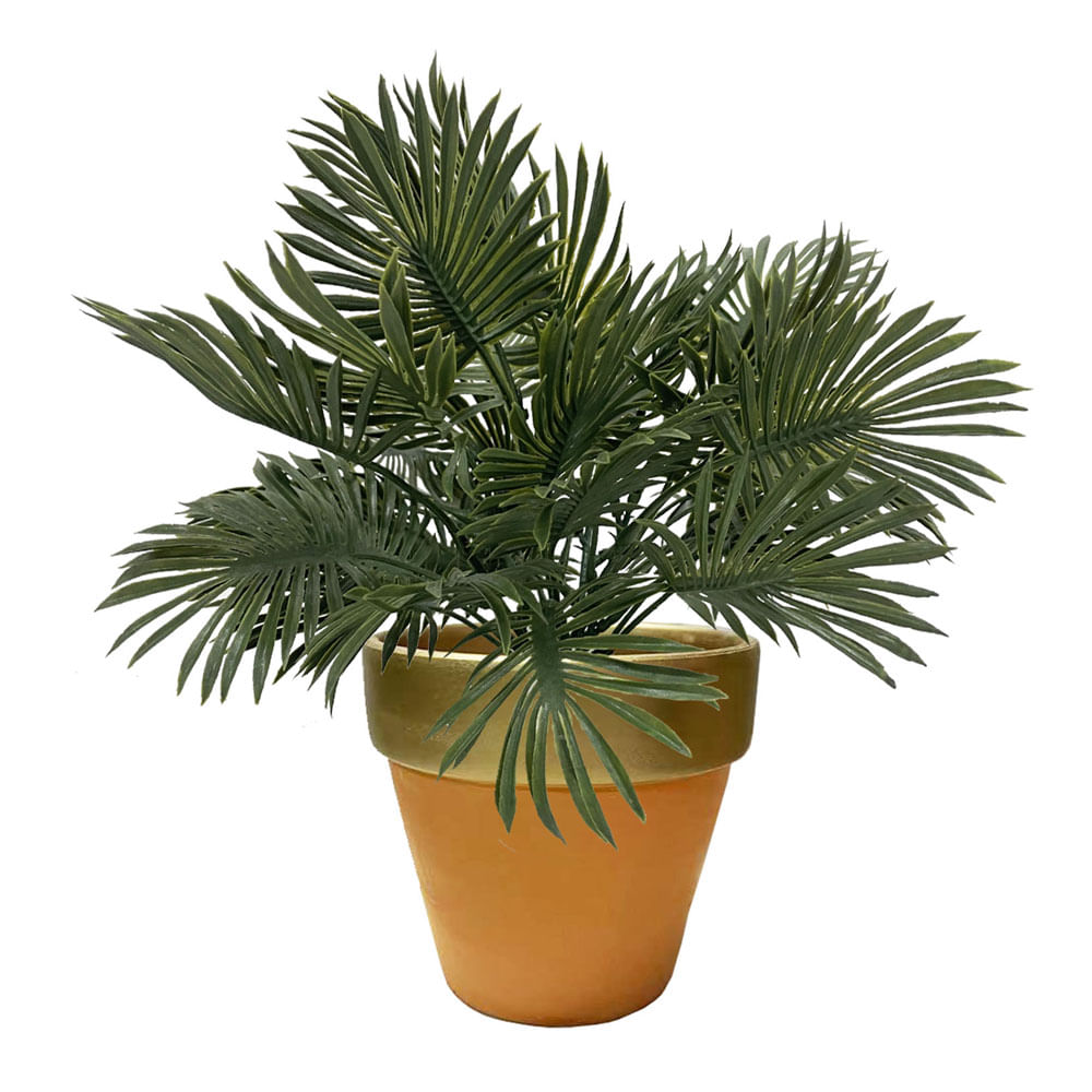 Palmera Krea Sahara