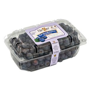 Arándanos Orgánicos en Fresco The Farmer 500g