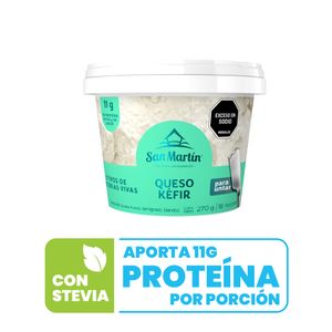 Queso kéfir San Martín para untar x270g