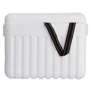 Nevera portátil blanco 24L Thermopor