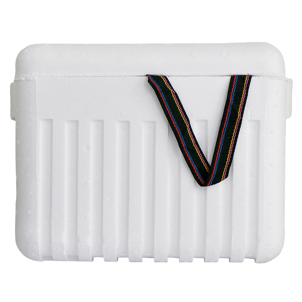 Nevera portátil blanco 24L Thermopor