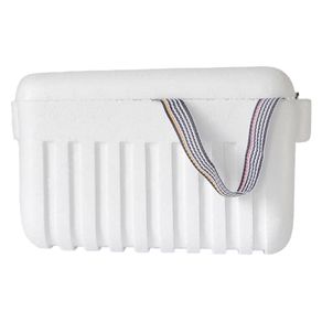 Nevera portátil blanco 15L Thermopor