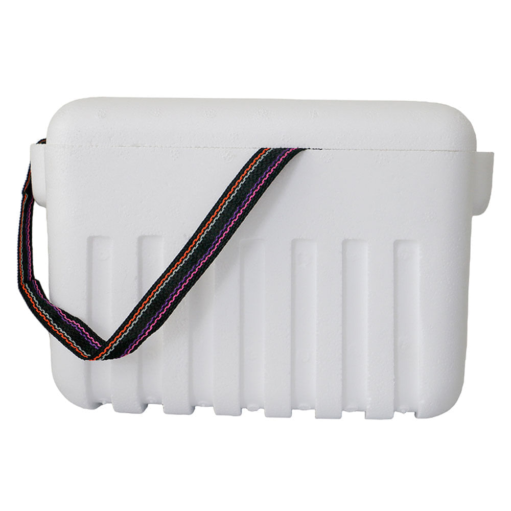 Nevera portátil blanco 10L Thermopor