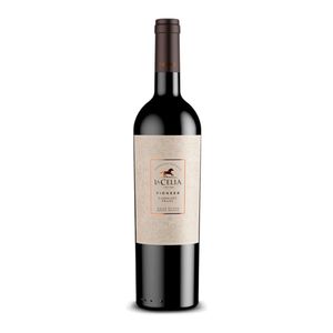 Vino Tinto La Celia Caber.Franc Pionner Rva.750ml