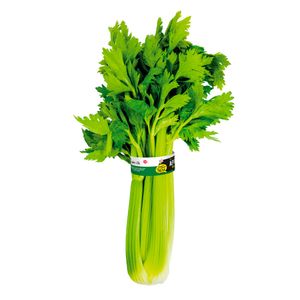 Apio Cuisine&Co 500g