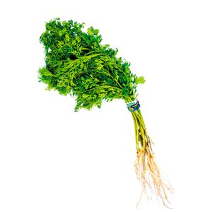 Cilantro Cuisine & Co Kosher x100g